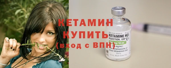 a pvp Куртамыш