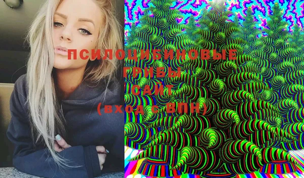 тгк Ладушкин