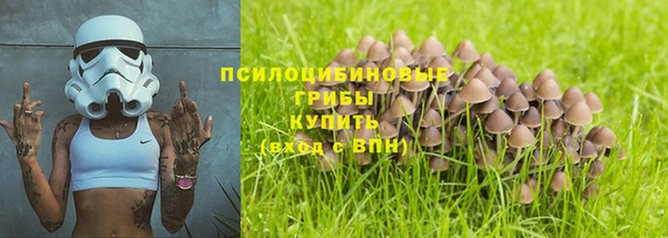 а пвп мука Лабытнанги