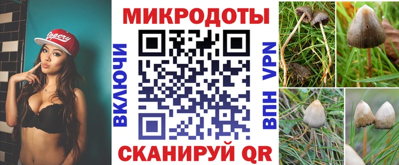 Псилоцибиновые грибы GOLDEN TEACHER купить наркоту Мелеуз