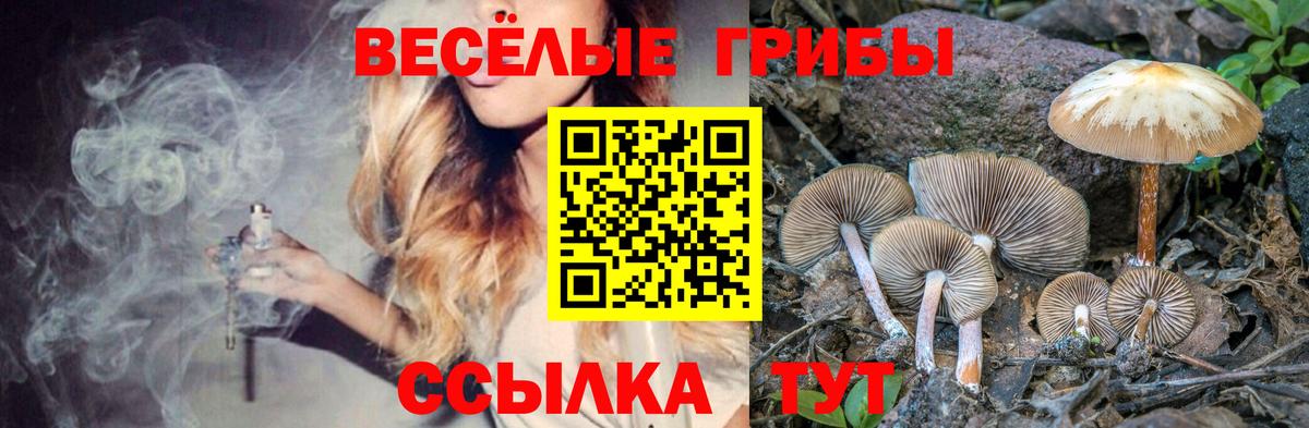 Псилоцибиновые грибы мухоморы  Вход с VPN  Мелеуз 